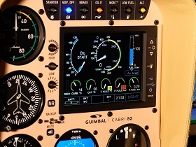 Electronic Pilot Monitor