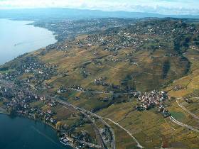 Lavaux